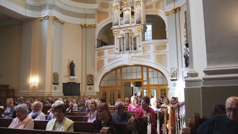 organ mocenok