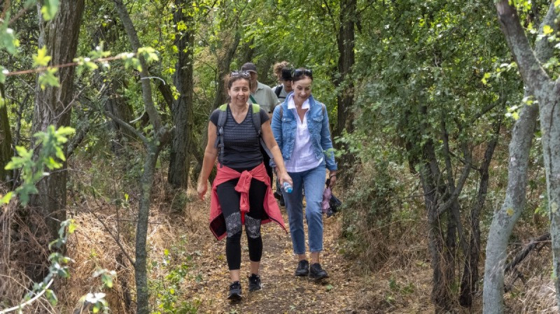 pesia_put_do_nr_gorazdov